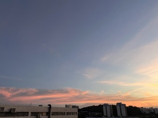 6C3390A3-9E12-4472-A307-1E3003448F64/L0/001