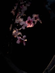 0B768D3E-DB9F-4087-8A16-E46D5F7C9582/L0/001