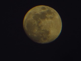 73C94B57-E129-462A-ACDD-195769BD9138/L0/001