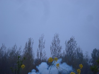 8B38CE28-9FBE-404B-8B87-C878EA40117A/L0/001