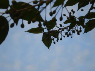 50F5C06A-01AE-47E8-8EE7-2961052DEB1E/L0/001