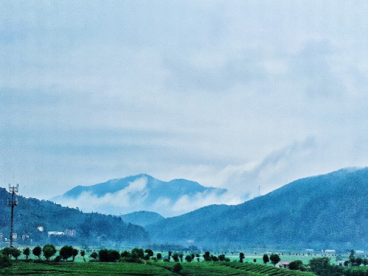 我见青山多妩媚