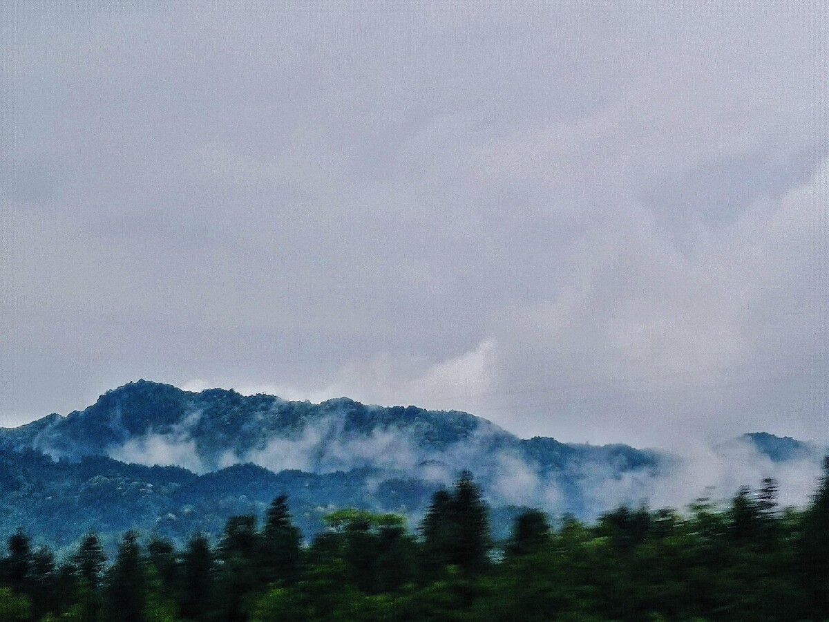 我见青山多妩媚