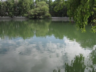 25DDA5D7-0A96-4F0C-A413-57534B280712/L0/001