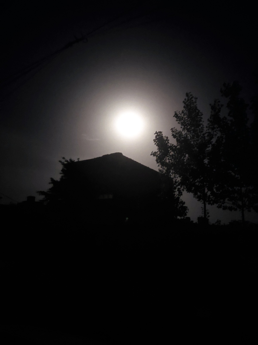 老家的月亮好圆