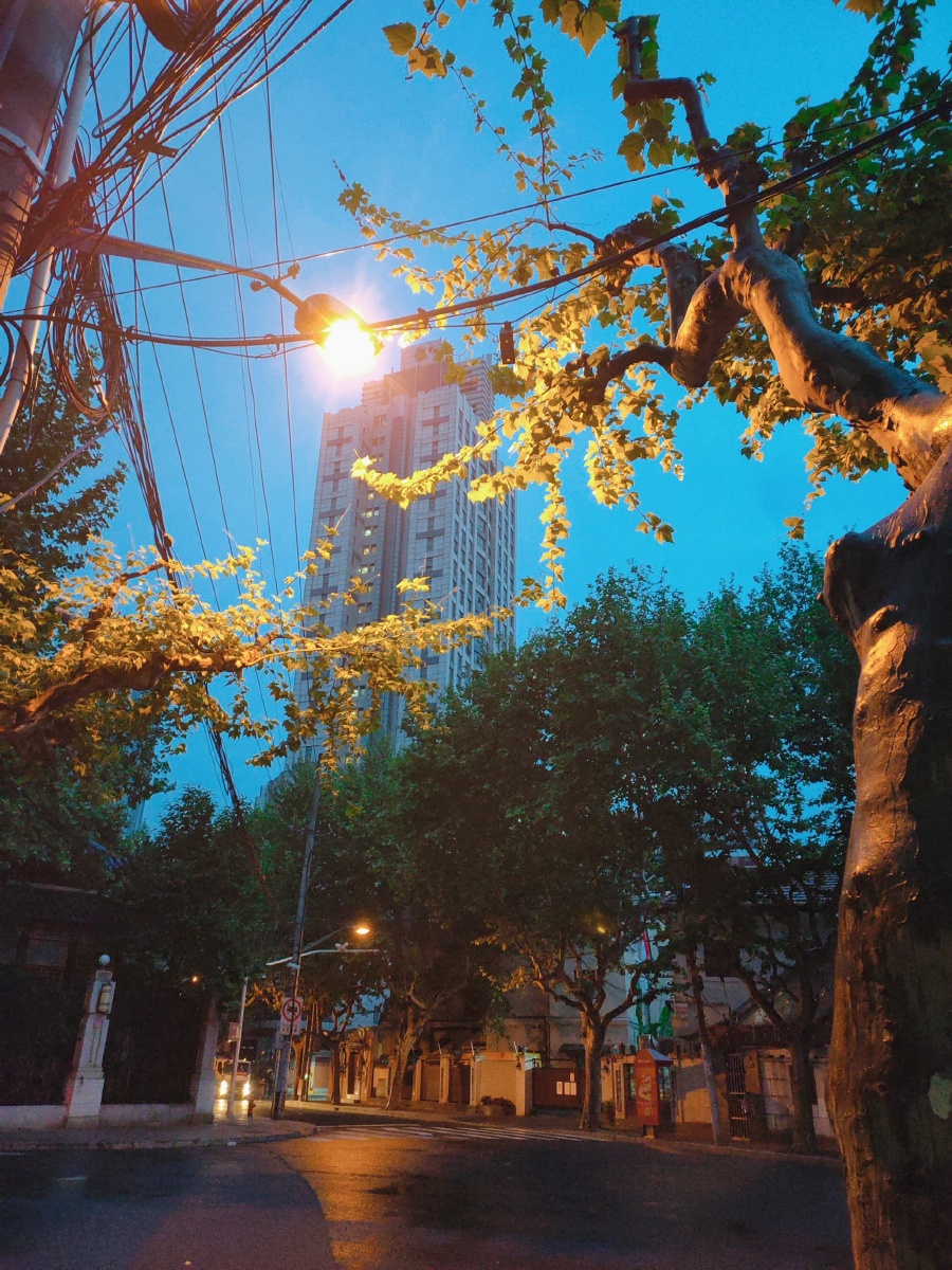 雨后凌晨5点的上海