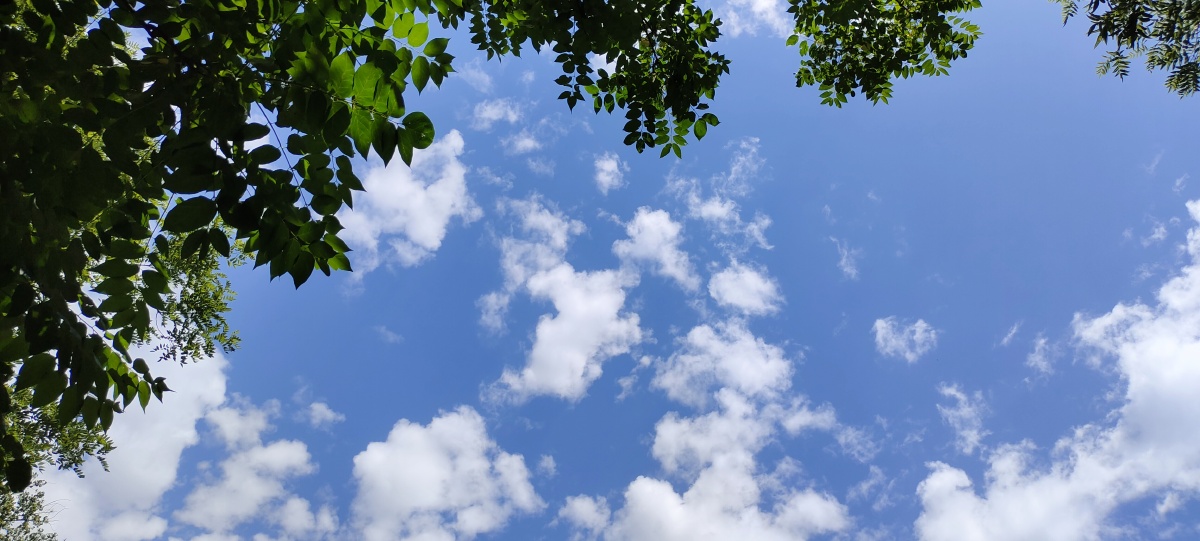 永远的北京蓝2021年5月26日的北京晴空万里蓝天清彻白云如棉