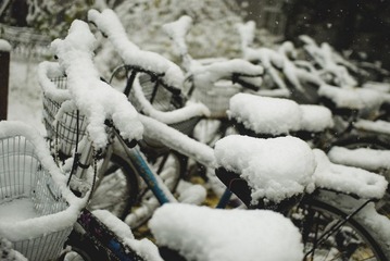 难得的雪景
