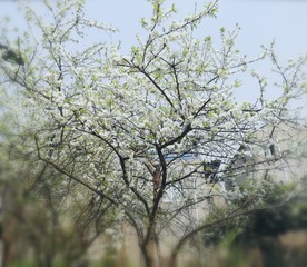 1302908
