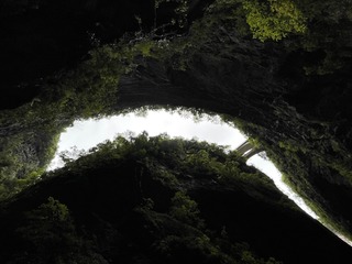 E4E88AE5-7D43-432D-A1AD-B16E708ACD68/L0/001