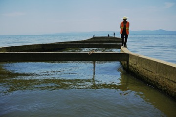 3090859