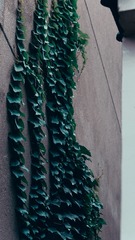 5595610