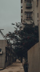 5578669