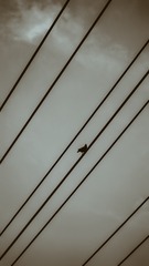 5576473