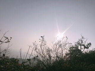 4AE27207-04C6-489E-B69E-1272D643CA56/L0/001