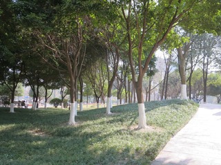 06EABA9B-1E57-422E-A51F-C8930D65522C/L0/001