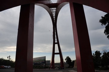 29557