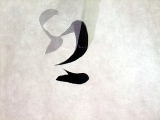 静随心生