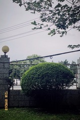 9D6CE984-628B-4C0E-849B-DD61CEAE8B0D/L0/001