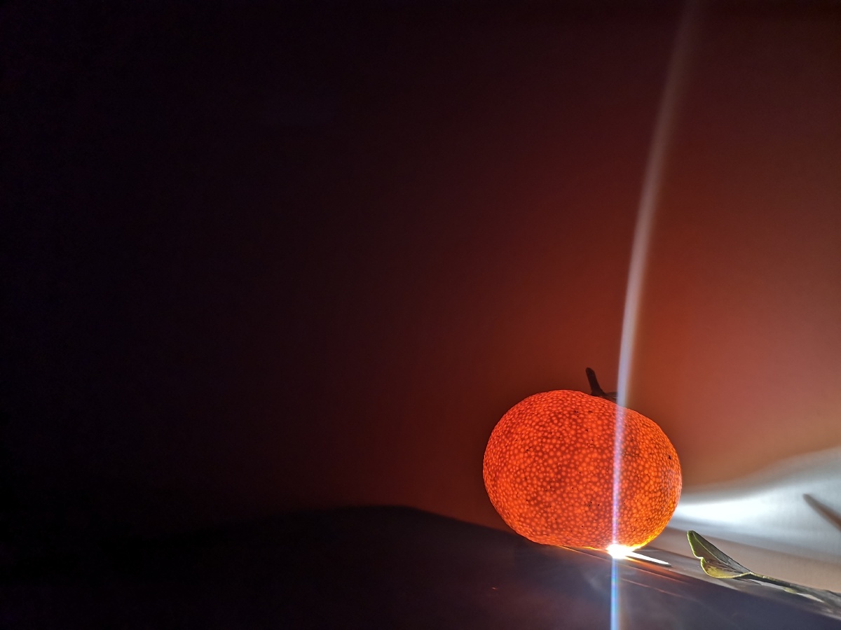 一抹光与影或许能温暖那个岁末的秋天