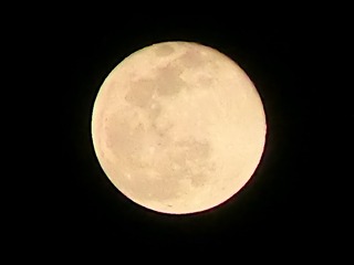 1450832