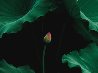 1002552