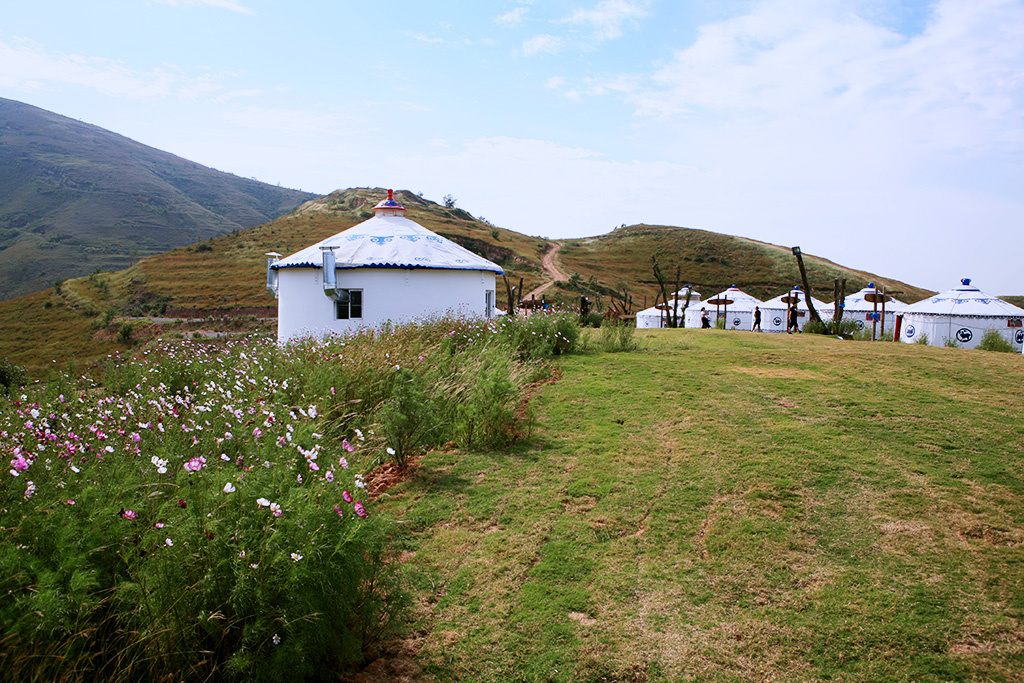 万安山高山牧场