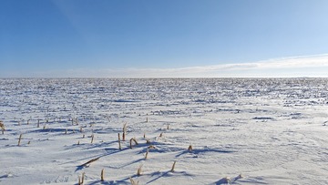 1000015905