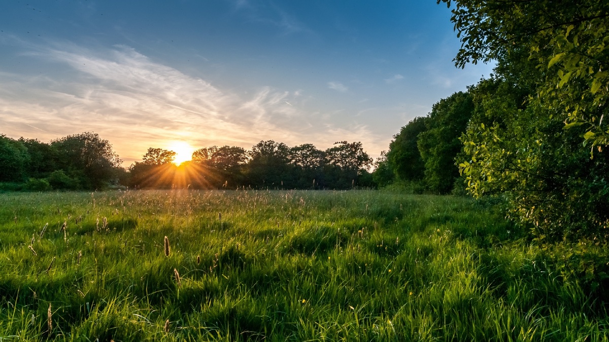 大自然,空气新鲜