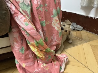 361C41D7-934F-4B55-9656-8D36B6D901A7/L0/001