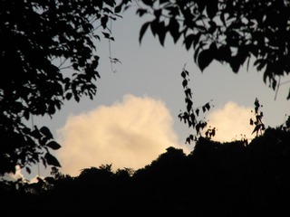 AF9237D1-03CE-4B04-894B-D0AB5EAC1A55/L0/001