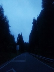 E66B1BED-92B6-415F-AE86-E2C477D0259B/L0/001