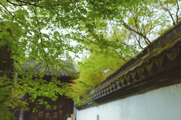 DF44F2EF-81A6-4BE0-8B7D-D45D6DA60AE4/L0/001