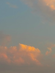8D4CE545-29C4-4727-8C70-C30A12BAF29A/L0/001