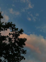 28F60F64-CC2D-4F45-A419-93CF02FCA570/L0/001