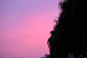 47E6132B-98EB-4C44-B866-D9E6924D9FF3/L0/001