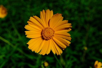 03D5F3CE-3DBA-45D3-9749-97F6A3193351/L0/001