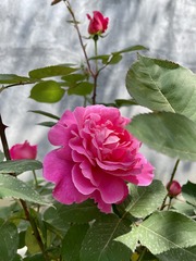 5AB14D84-694B-4932-B2CF-E63D04E1B2D7/L0/001