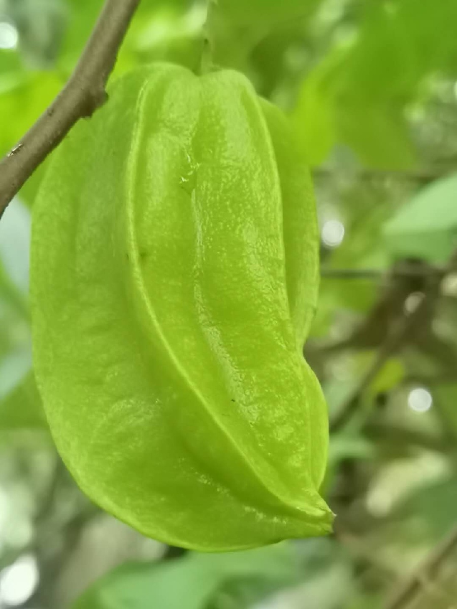 圆融的爱是一滴滴甘露滋润每一叶心