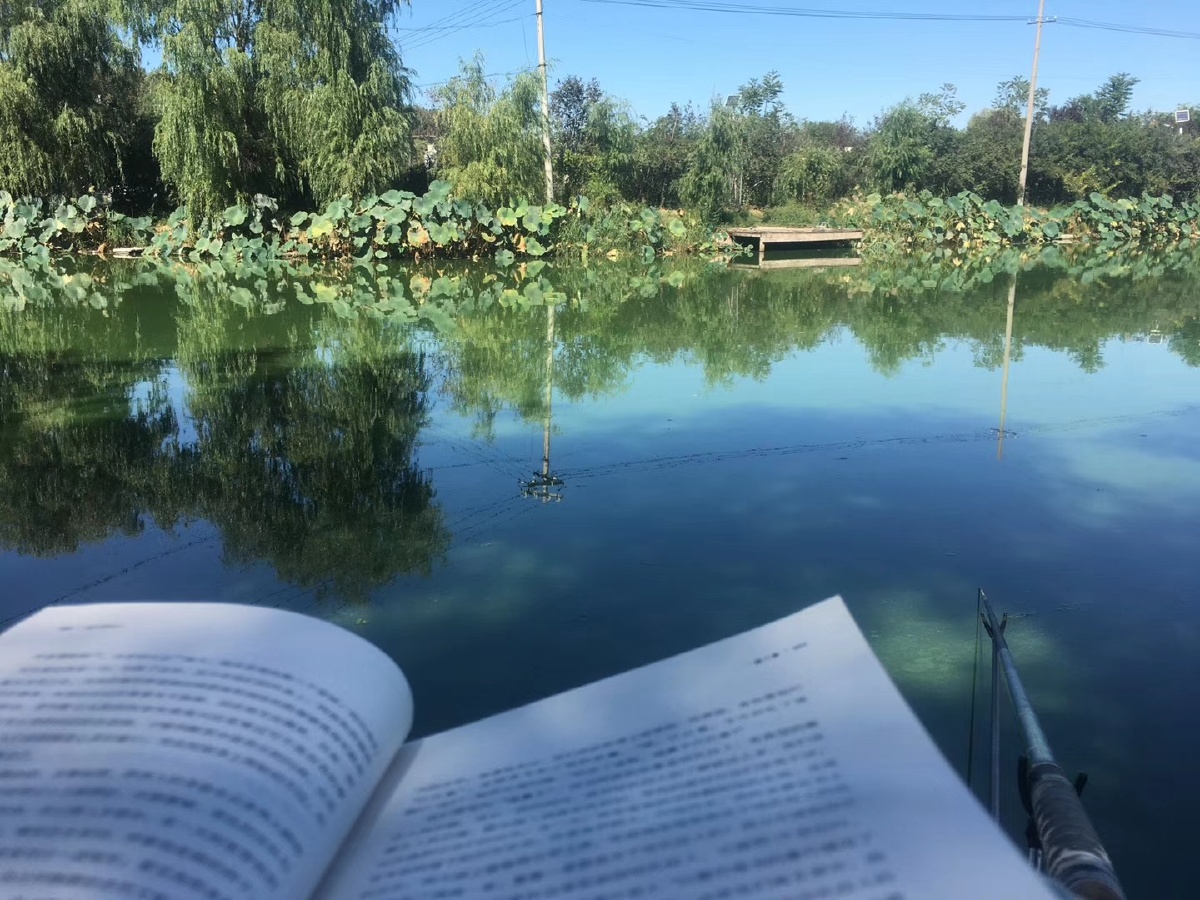 心烦的时候找个安静的地方读读书钓钓鱼