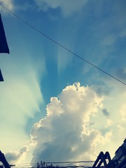 1270806