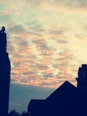 1270816