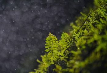 D808BDA9-4D8E-4B17-99E2-B126854A6AC4/L0/001