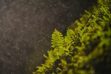 B301305C-E118-41C7-A3B1-4E18AE02B359/L0/001