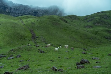 91FBEED5-63BC-4C54-B806-6DD1472CEE26/L0/001