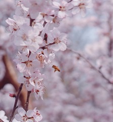 4BF04E83-D4D6-4EE0-BB9E-578106B0175B/L0/001
