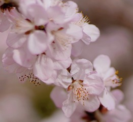 58824F17-29C4-4F14-8F18-F256431C2812/L0/001