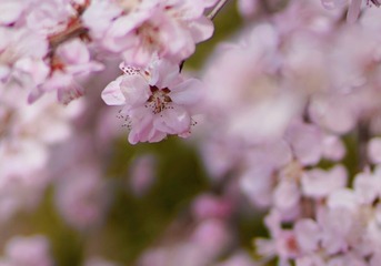 2F2FB0CD-223E-4841-B1E5-82B30C74AF70/L0/001