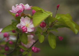 A28BAAA1-B3D1-4100-BDCC-595386D54BF5/L0/001
