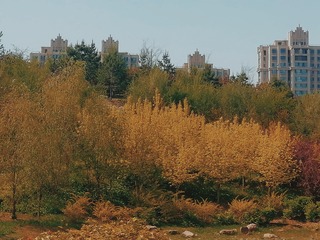 714226